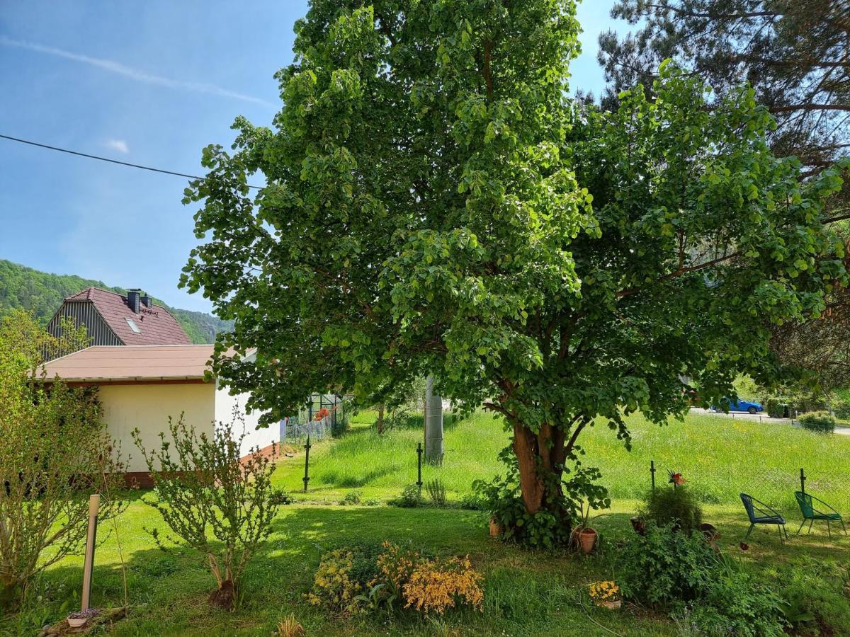 Ferienappartements Elbaussicht - Krippen Bad Schandau Dış mekan fotoğraf