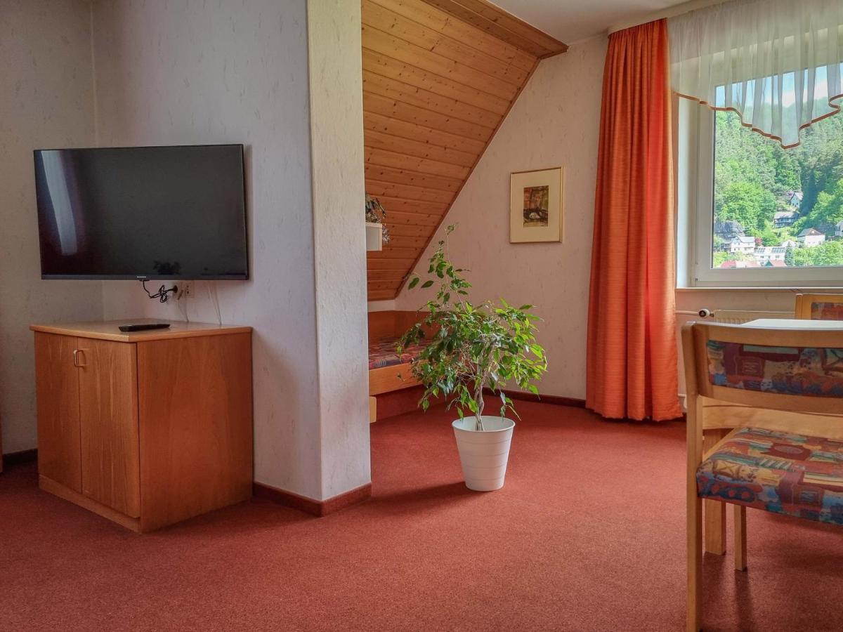 Ferienappartements Elbaussicht - Krippen Bad Schandau Dış mekan fotoğraf